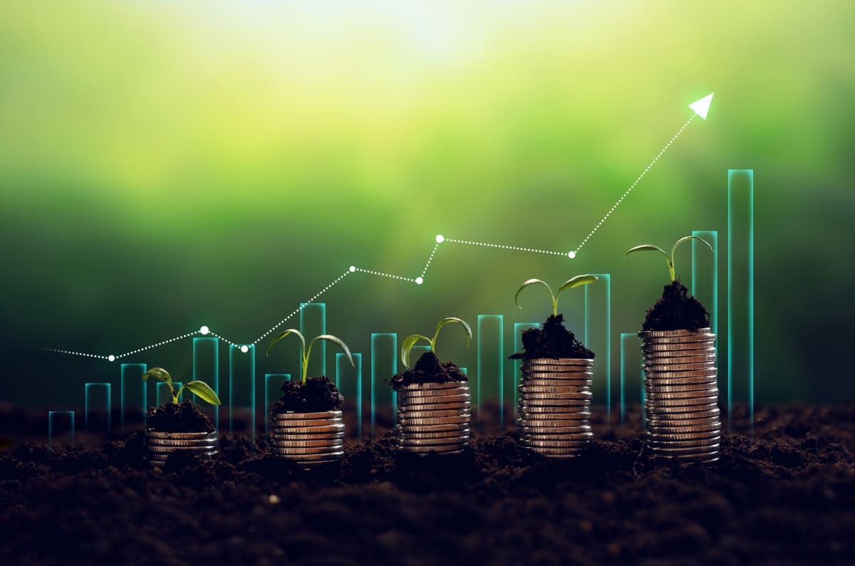 FOMO Investasi