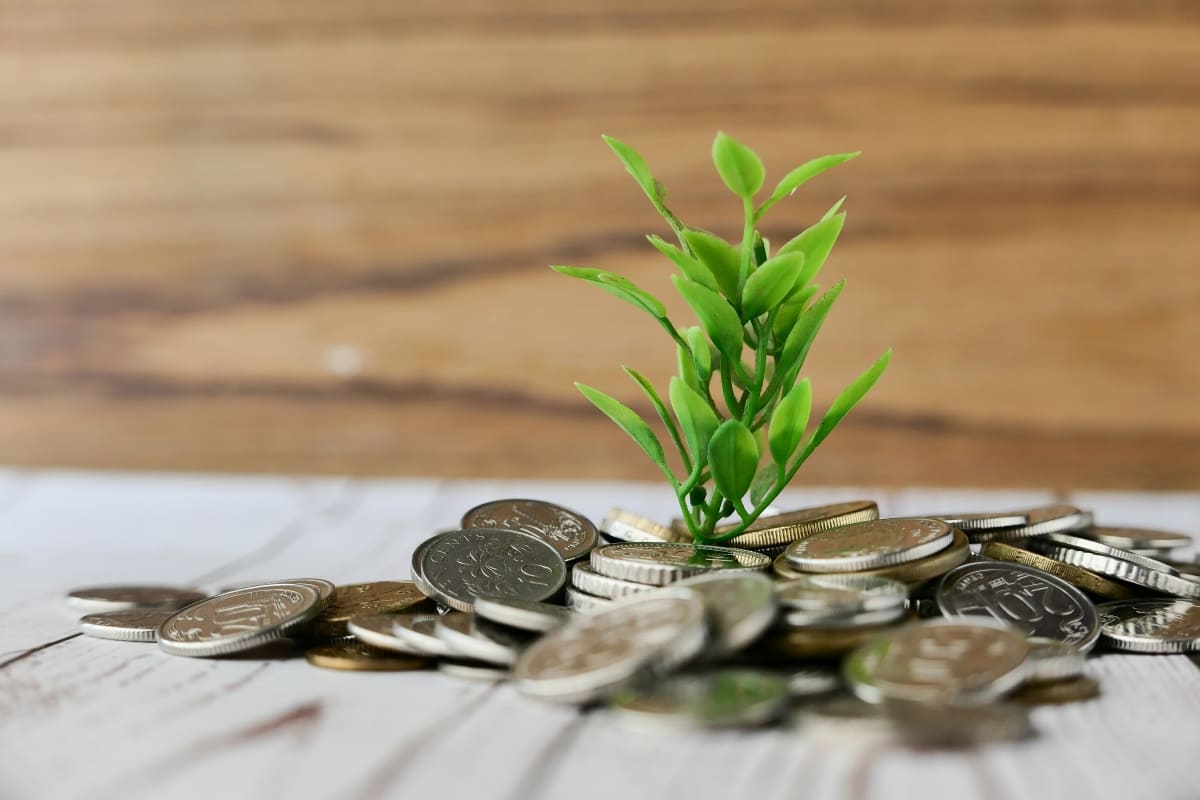 Investasi Mikro